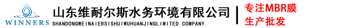 山东维耐尔斯水务环境有限公司