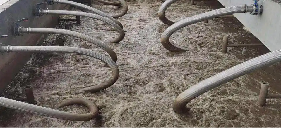 南充市某工业污水处理厂